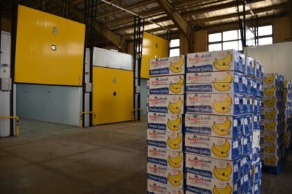 Is There A Shortage Of Bananas